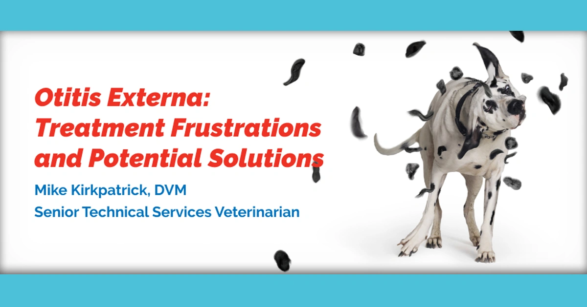 Otitis Externa: Treatment Frustrations and Potential Solutions (online)